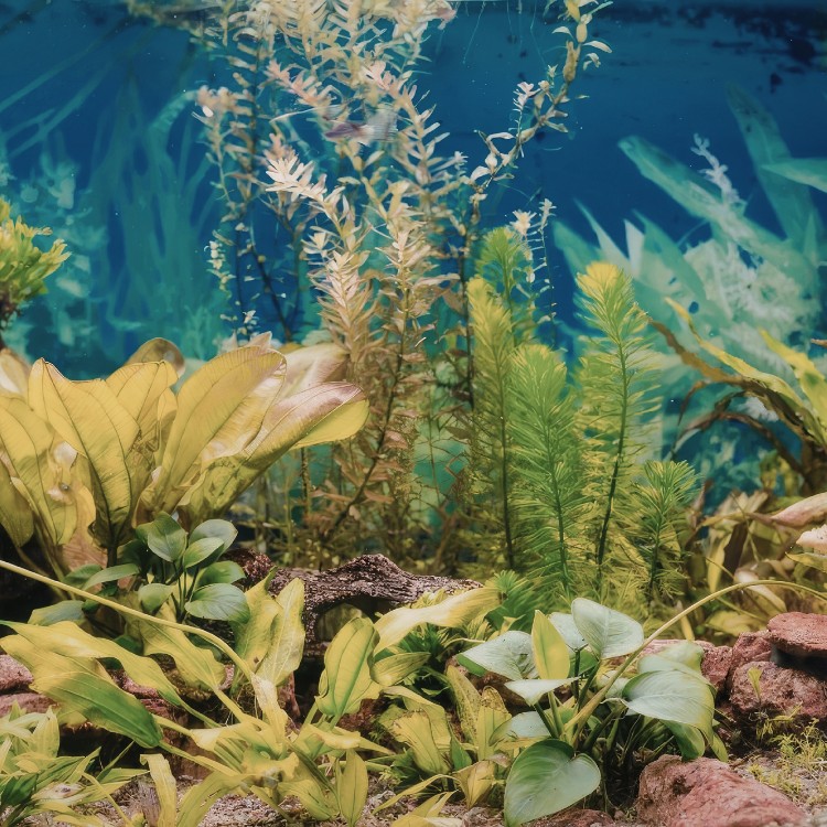 Just another WordPress site