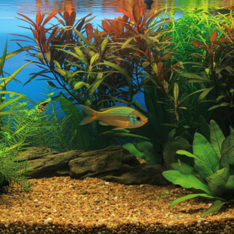 Just another WordPress site