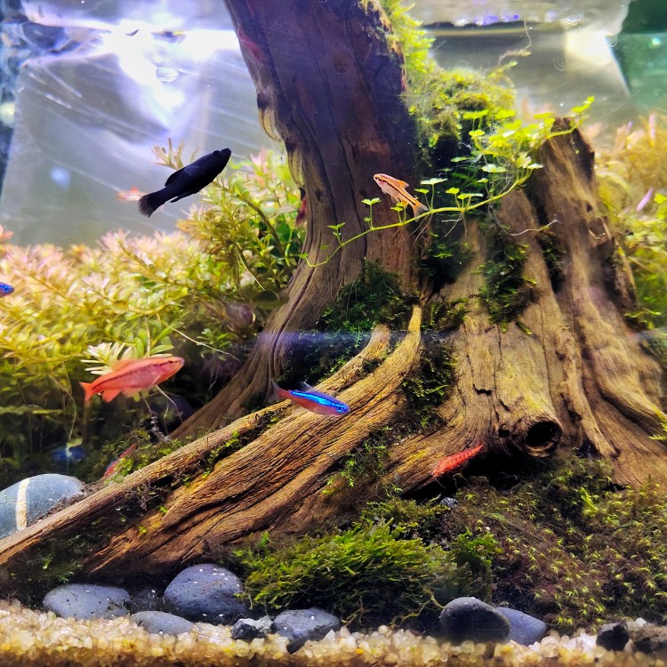 Just another WordPress site